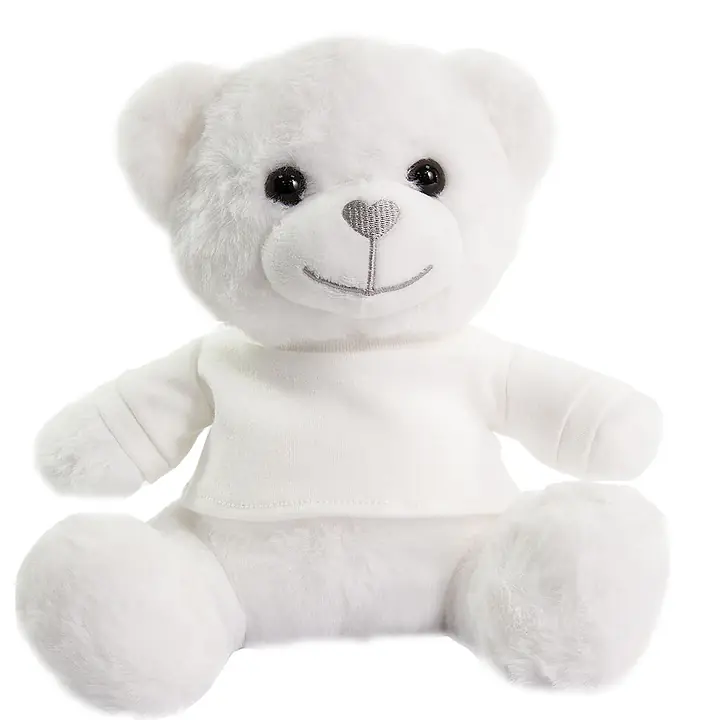 Teddy Bear with t-shirt 25cm